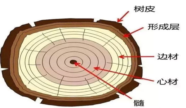 全屋定制家具系列中：實木家具該如何選擇?